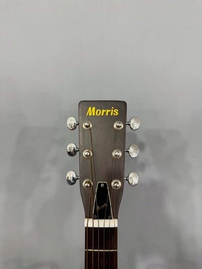 گیتار آکوستیک MORRIS F12