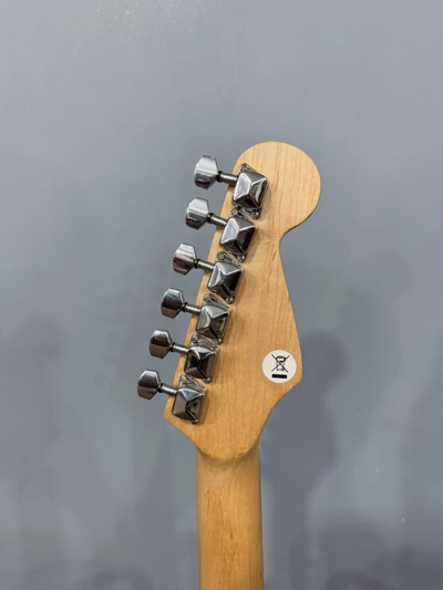 گیتار الکتریک Playtech Stratocaster