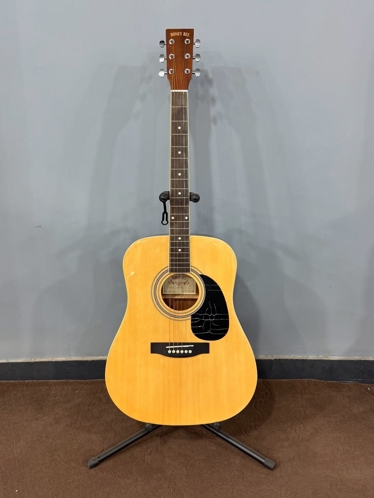 گیتار آکوستیک Honey Bee W-15N Dreadnought