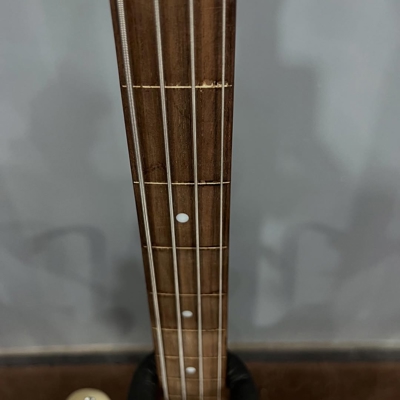 گیتار بیس Photogenic Precision Fretless