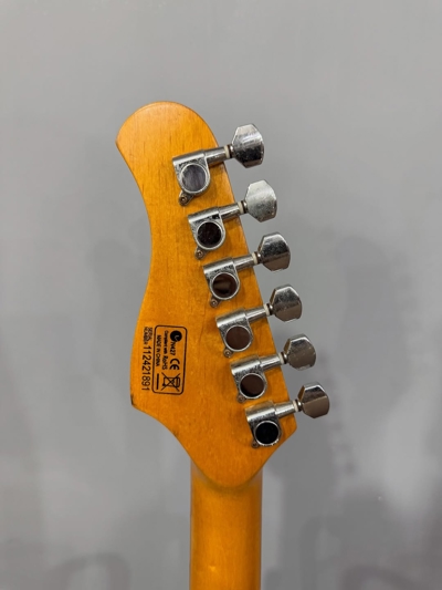 گیتار الکتریک Elioth Stratocaster S303
