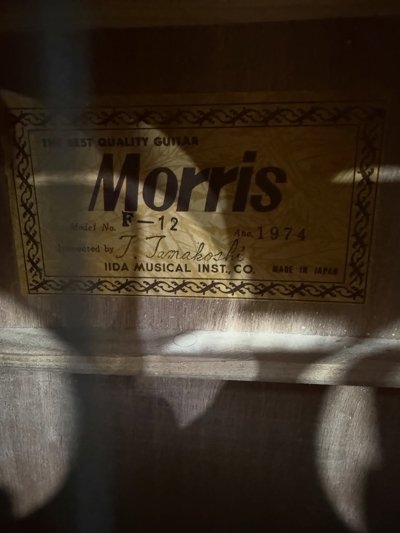 گیتار آکوستیک MORRIS F12