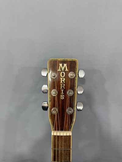 گیتار آکوستیک MORRIS MD528
