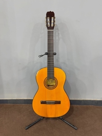 گیتار کلاسیک Ryuko G-2130